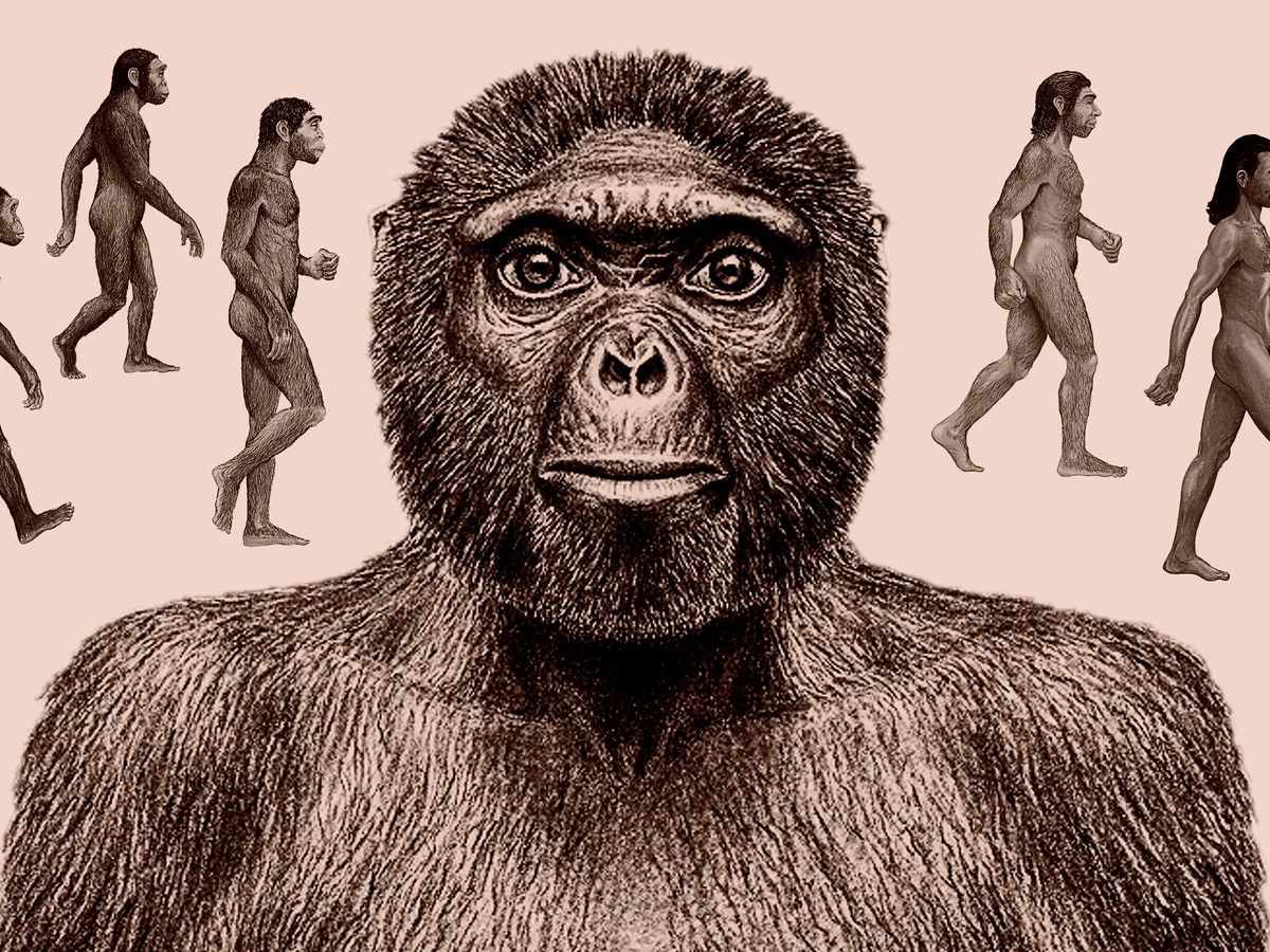 ape Blank Meme Template