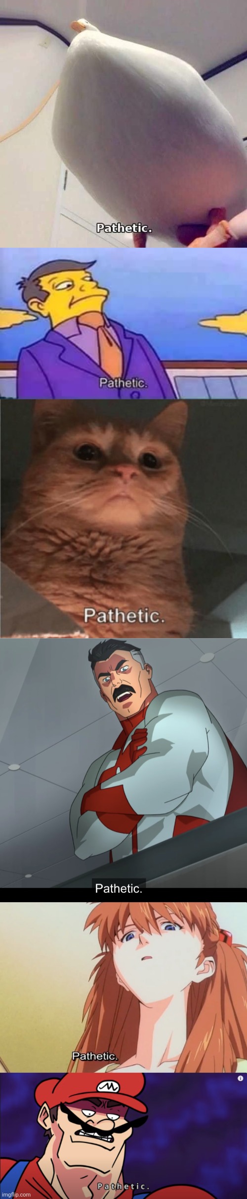 Use if needed | image tagged in pathetic duck,skinner pathetic,pathetic cat,omniman pathetic,pathetic,mario pathetic | made w/ Imgflip meme maker