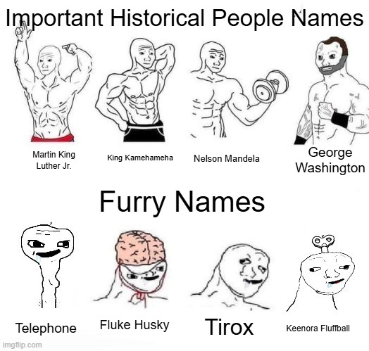 Important Historical People vs. Furry Names | Important Historical People Names; George Washington; King Kamehameha; Nelson Mandela; Martin King Luther Jr. Furry Names; Fluke Husky; Tirox; Telephone; Keenora Fluffball | image tagged in x in the past vs x now,history,furry | made w/ Imgflip meme maker