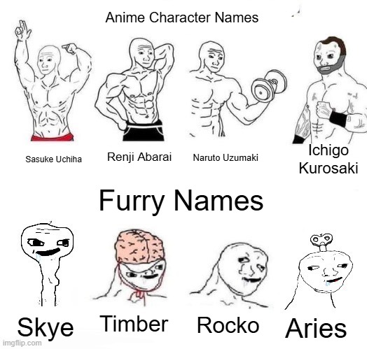 Anime Character vs. Furry Names | Anime Character Names; Ichigo Kurosaki; Renji Abarai; Naruto Uzumaki; Sasuke Uchiha; Furry Names; Timber; Rocko; Skye; Aries | image tagged in x in the past vs x now,anime,furry | made w/ Imgflip meme maker