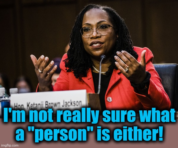 Ketanji Brown Jackson | I'm not really sure what
a "person" is either! | image tagged in ketanji brown jackson | made w/ Imgflip meme maker
