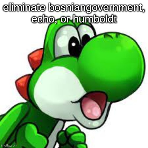 mfs were voting in the wrong group smh | eliminate bosniangovernment, echo, or humboldt | image tagged in yoshi pog | made w/ Imgflip meme maker