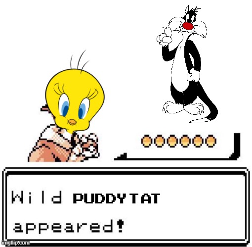 When Looney Tunes meets Pokemon! | PUDDY TAT | image tagged in blank wild pokemon appears,looney tunes,pokemon,tweety bird,sylvester the cat,crossover | made w/ Imgflip meme maker
