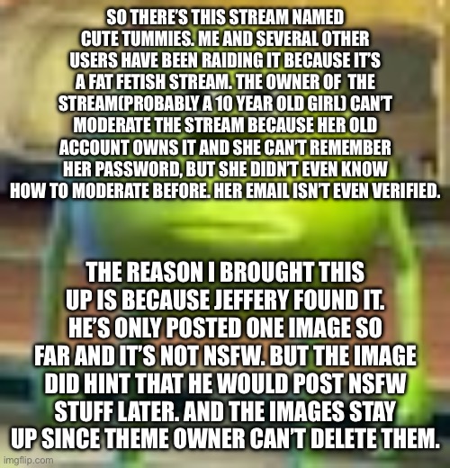 Sully Wazowski | SO THERE’S THIS STREAM NAMED CUTE TUMMIES. ME AND SEVERAL OTHER USERS HAVE BEEN RAIDING IT BECAUSE IT’S A FAT FETISH STREAM. THE OWNER OF  THE STREAM(PROBABLY A 10 YEAR OLD GIRL) CAN’T MODERATE THE STREAM BECAUSE HER OLD ACCOUNT OWNS IT AND SHE CAN’T REMEMBER HER PASSWORD, BUT SHE DIDN’T EVEN KNOW HOW TO MODERATE BEFORE. HER EMAIL ISN’T EVEN VERIFIED. THE REASON I BROUGHT THIS UP IS BECAUSE JEFFERY FOUND IT. HE’S ONLY POSTED ONE IMAGE SO FAR AND IT’S NOT NSFW. BUT THE IMAGE DID HINT THAT HE WOULD POST NSFW STUFF LATER. AND THE IMAGES STAY UP SINCE THEME OWNER CAN’T DELETE THEM. | image tagged in sully wazowski | made w/ Imgflip meme maker