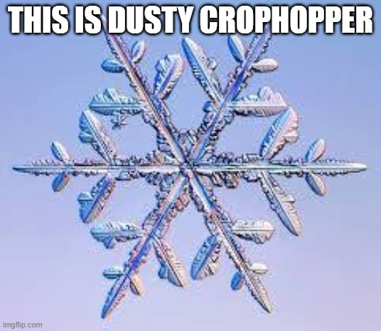 Snowflake | THIS IS DUSTY CROPHOPPER | image tagged in snowflake | made w/ Imgflip meme maker