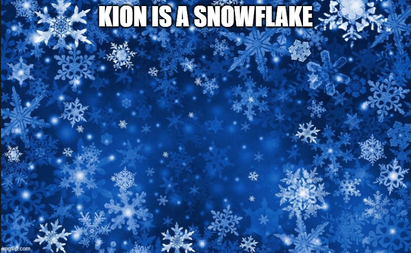 Snowflakes | KION IS A SNOWFLAKE | image tagged in snowflakes | made w/ Imgflip meme maker
