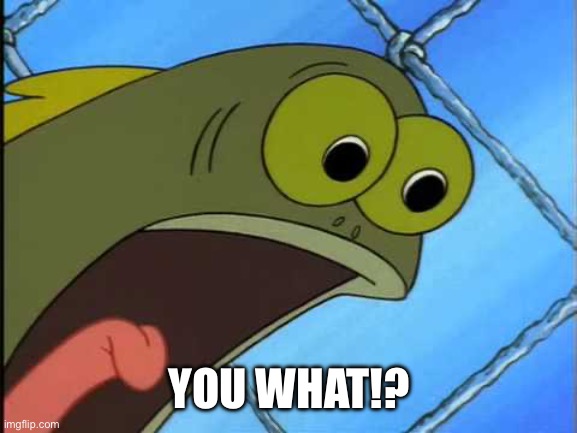 You what?! | YOU WHAT!? | image tagged in you what | made w/ Imgflip meme maker