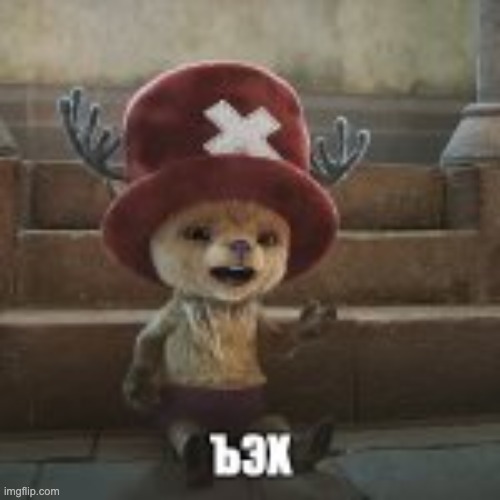 chopper shitpost | image tagged in chopper shitpost,memes,funny,one piece,chopper,shitpost | made w/ Imgflip meme maker