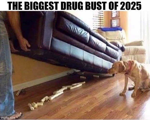 The Biggest Drug Bust Of 2025 | THE BIGGEST DRUG BUST OF 2025 | image tagged in chrisjoines1 | made w/ Imgflip meme maker