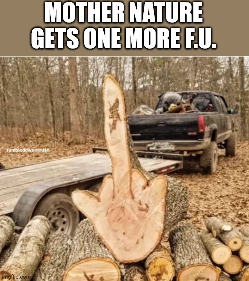 THAT'S WHAT YOU GET | MOTHER NATURE GETS ONE MORE F.U. | image tagged in trees,middle finger,nature | made w/ Imgflip meme maker
