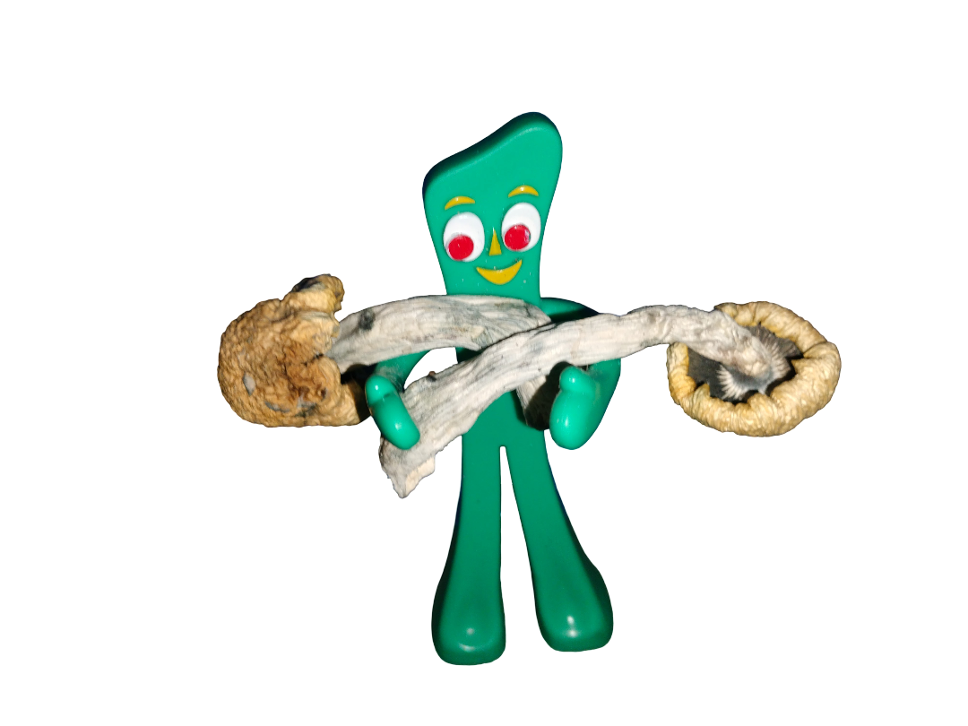 Gumby Blank Meme Template