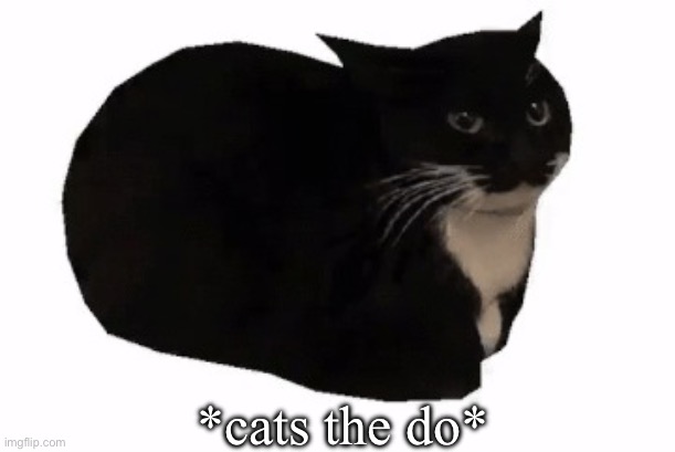 maxwell the cat | *cats the do* | image tagged in maxwell the cat | made w/ Imgflip meme maker
