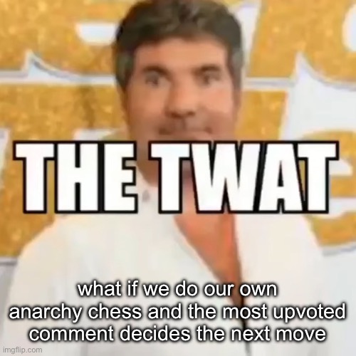 the twat | what if we do our own anarchy chess and the most upvoted comment decides the next move | image tagged in the twat | made w/ Imgflip meme maker