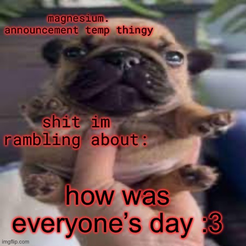 pug temp | how was everyone’s day :3 | image tagged in pug temp | made w/ Imgflip meme maker