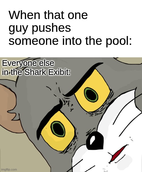 When that one guy does that... | When that one guy pushes someone into the pool:; Everyone else in the Shark Exibit: | image tagged in memes,unsettled tom | made w/ Imgflip meme maker