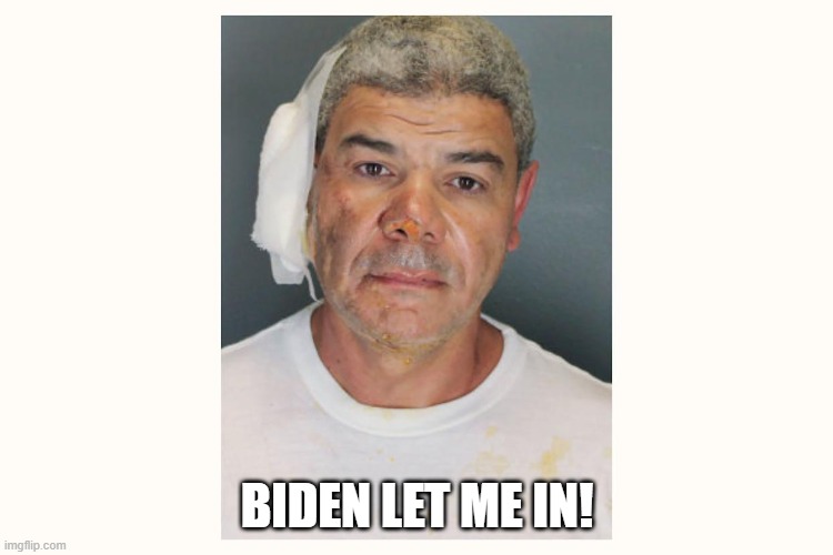 BIDEN LET ME IN! | made w/ Imgflip meme maker