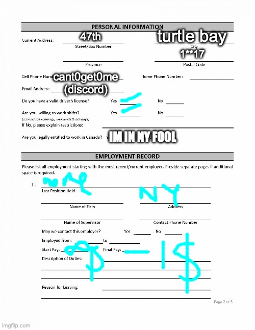 I did it (yes those coordinates are accurate but you still cant dox me ∞ people live here) | turtle bay; 47th; 1**17; cant0get0me (discord); IM IN NY FOOL | image tagged in job application blank | made w/ Imgflip meme maker