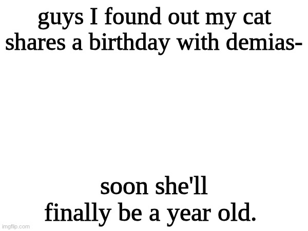 yay.. most of my cats die in their 1st year and she's already drank paint water and ate a chicken bone so- | guys I found out my cat shares a birthday with demias-; soon she'll finally be a year old. | made w/ Imgflip meme maker