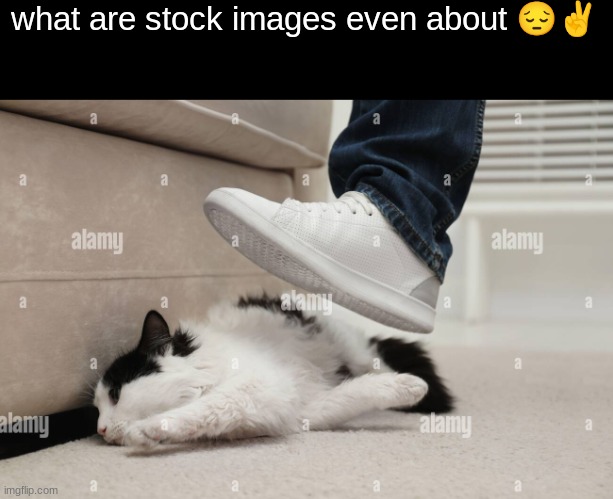 what are stock images even about 😔✌ | made w/ Imgflip meme maker