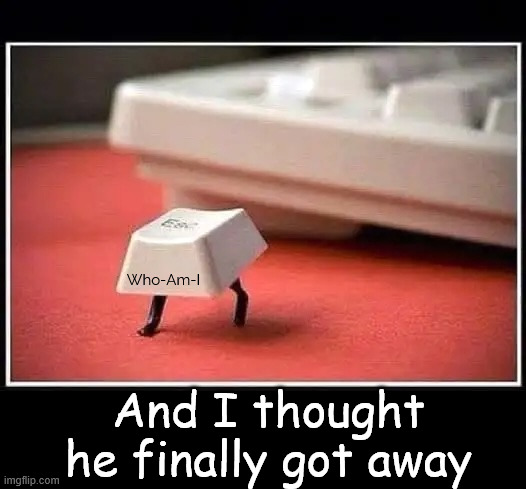 esc | Who-Am-I; And I thought he finally got away | image tagged in who_am_i,esc | made w/ Imgflip meme maker