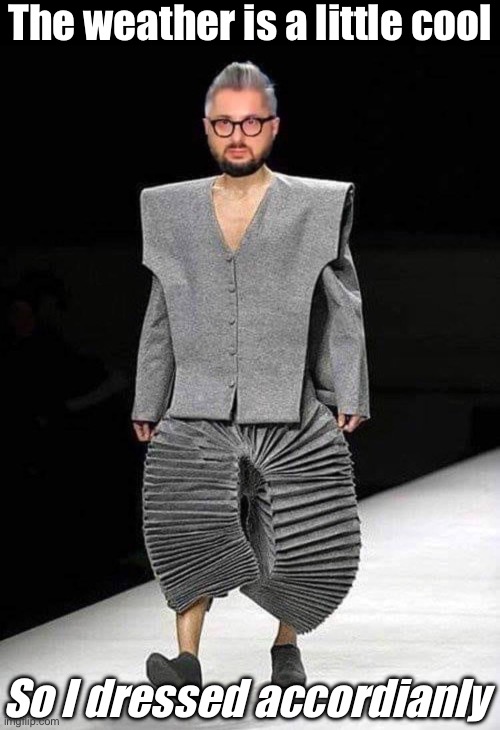 Cool weather dress sense | The weather is a little cool; So I dressed accordianly | image tagged in cool,weather,accordian | made w/ Imgflip meme maker