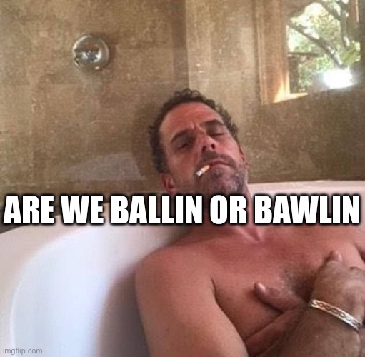 Family Business by Kanye West | ARE WE BALLIN OR BAWLIN | image tagged in hunter first family international business tycoon | made w/ Imgflip meme maker