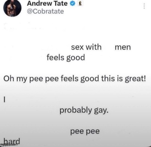 made w/ Imgflip meme maker