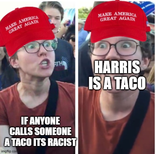 Tf is "Trump always crushes opponents" | HARRIS IS A TACO; IF ANYONE CALLS SOMEONE A TACO ITS RACIST | image tagged in maga hypocrisy | made w/ Imgflip meme maker