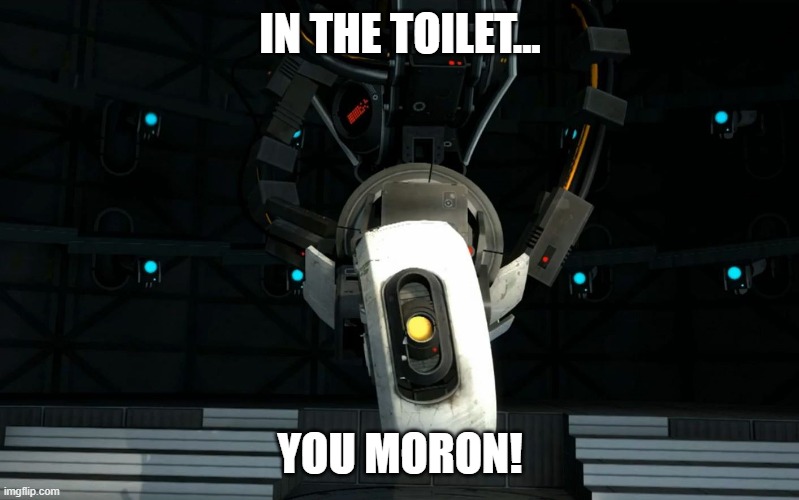 IN THE TOILET... YOU MORON! | image tagged in glados | made w/ Imgflip meme maker