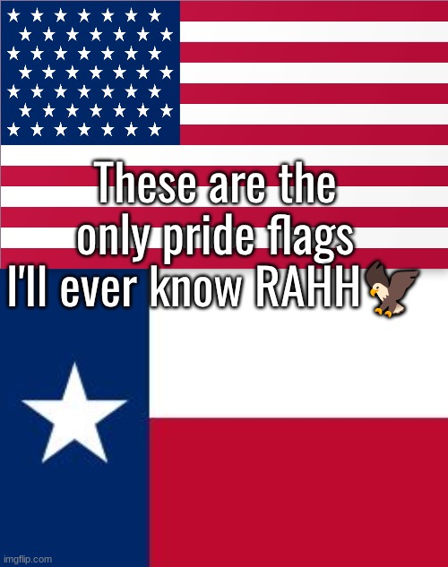 Texas flag | These are the only pride flags I'll ever know RAHH🦅 | image tagged in texas flag | made w/ Imgflip meme maker