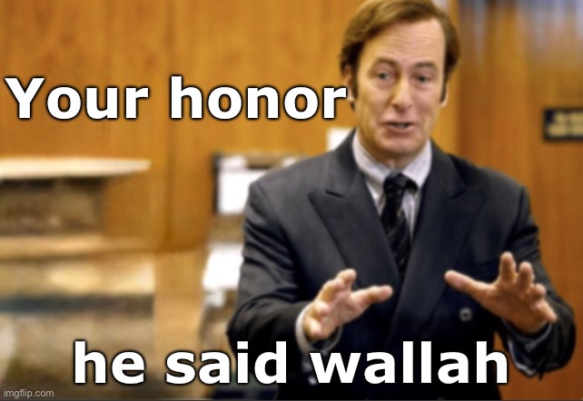 Saul Goodman defending | Your honor; he said wallah | image tagged in saul goodman defending | made w/ Imgflip meme maker