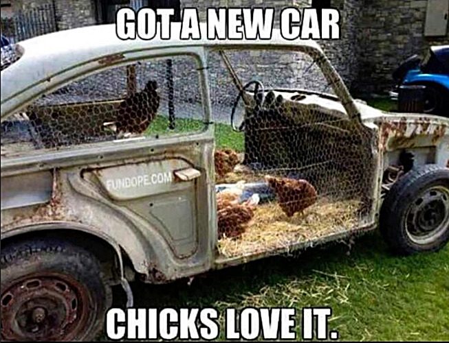 Looking for a good layer? This is the car for you! | image tagged in memes,chicks | made w/ Imgflip meme maker
