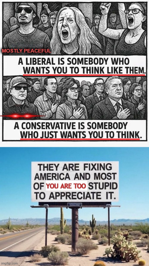 Hmmm | MOSTLY PEACEFUL; _______________; ________________; YOU ARE TOO | image tagged in so true sign,liberal,conservative,thinking,think about it,definition | made w/ Imgflip meme maker