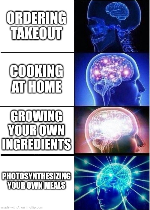 Expanding Brain | ORDERING TAKEOUT; COOKING AT HOME; GROWING YOUR OWN INGREDIENTS; PHOTOSYNTHESIZING YOUR OWN MEALS | image tagged in memes,expanding brain | made w/ Imgflip meme maker
