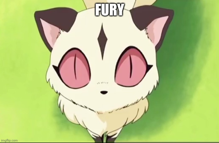 Kirara stare | FURY | image tagged in kirara stare | made w/ Imgflip meme maker
