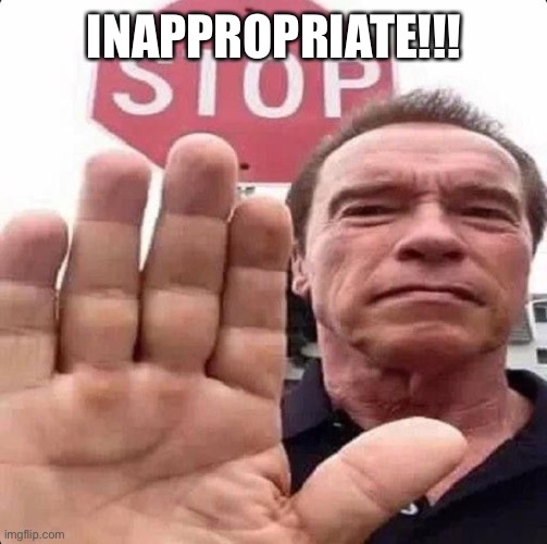 guy in front of stop sign | INAPPROPRIATE!!! | image tagged in guy in front of stop sign | made w/ Imgflip meme maker