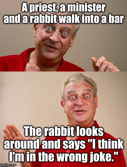 then Yosemite Sam came in and made the rabbit stew about it | A priest, a minister and a rabbit walk into a bar; The rabbit looks around and says "I think I'm in the wrong joke." | image tagged in classic rodney | made w/ Imgflip meme maker
