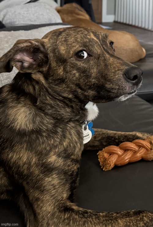 when people forget what this one bad guy did so they still let him be in the community | image tagged in nelli side-eye | made w/ Imgflip meme maker