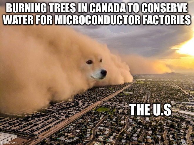 Canadian Smog Dog | BURNING TREES IN CANADA TO CONSERVE WATER FOR MICROCONDUCTOR FACTORIES; THE U.S | image tagged in smog,dog | made w/ Imgflip meme maker