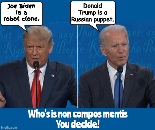 Who is Non Compos Mentis | Donald Trump is a Russian puppet. Joe Biden is a robot clone. Who's is non compos mentis
You decide! | image tagged in who is non compos mentis,fox news you decide,trump russian puppet,biden robot clone,maga madness | made w/ Imgflip meme maker