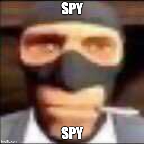 spi | SPY; SPY | image tagged in spi | made w/ Imgflip meme maker