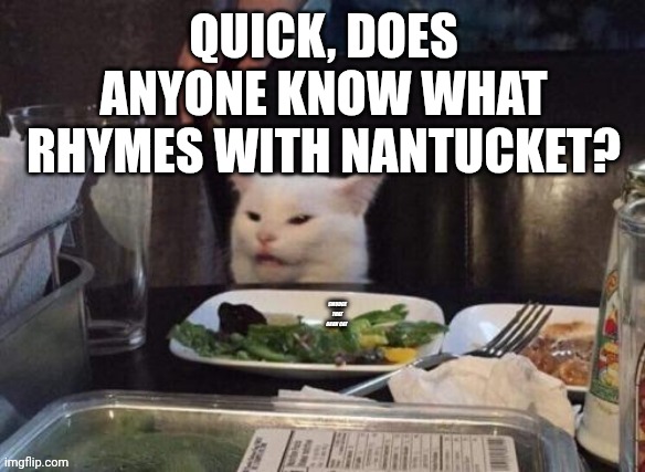 Smudge that darn cat | QUICK, DOES ANYONE KNOW WHAT RHYMES WITH NANTUCKET? | image tagged in smudge that darn cat | made w/ Imgflip meme maker
