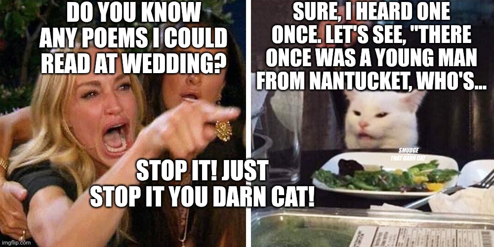 Smudge that darn cat with Karen | DO YOU KNOW ANY POEMS I COULD READ AT WEDDING? SURE, I HEARD ONE ONCE. LET'S SEE, "THERE ONCE WAS A YOUNG MAN FROM NANTUCKET, WHO'S... STOP IT! JUST STOP IT YOU DARN CAT! | image tagged in smudge that darn cat with karen | made w/ Imgflip meme maker