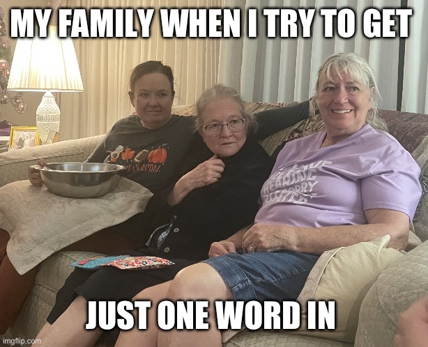 When I Try to Get One Word In | MY FAMILY WHEN I TRY TO GET; JUST ONE WORD IN | image tagged in uhhh what did you say | made w/ Imgflip meme maker