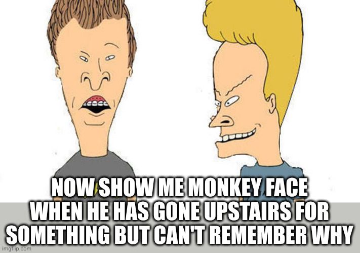 Beavis & Butthead | NOW SHOW ME MONKEY FACE WHEN HE HAS GONE UPSTAIRS FOR SOMETHING BUT CAN'T REMEMBER WHY | image tagged in beavis butthead | made w/ Imgflip meme maker