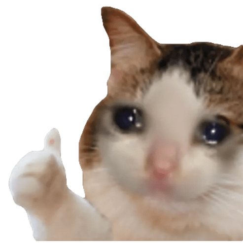 Sad cat thumbs up Blank Meme Template