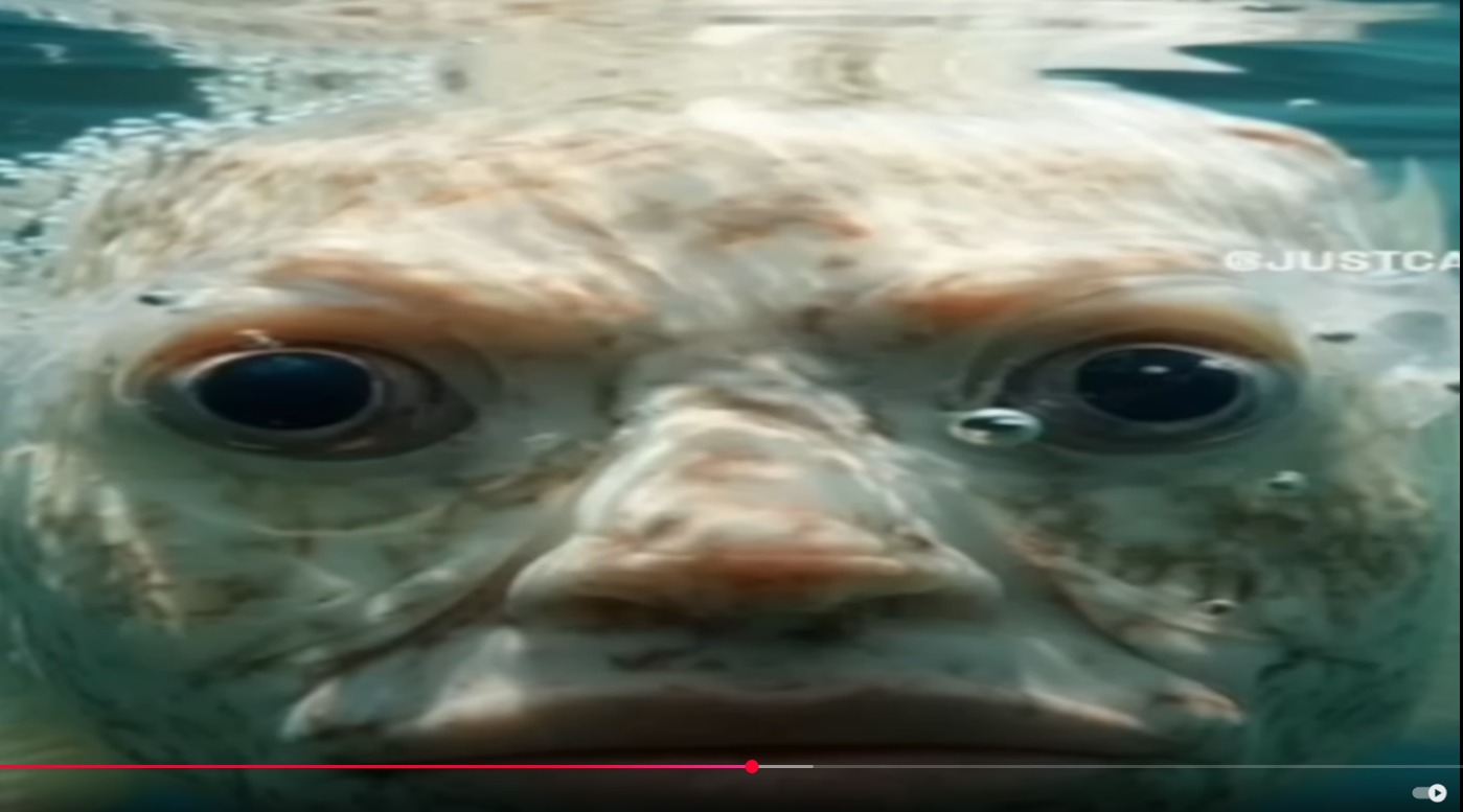 High Quality Bone-fish Blank Meme Template