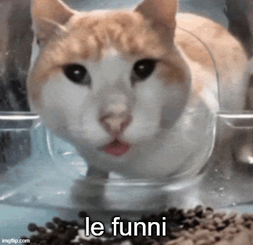Mr Shock stare | le funni | image tagged in mr shock stare | made w/ Imgflip meme maker