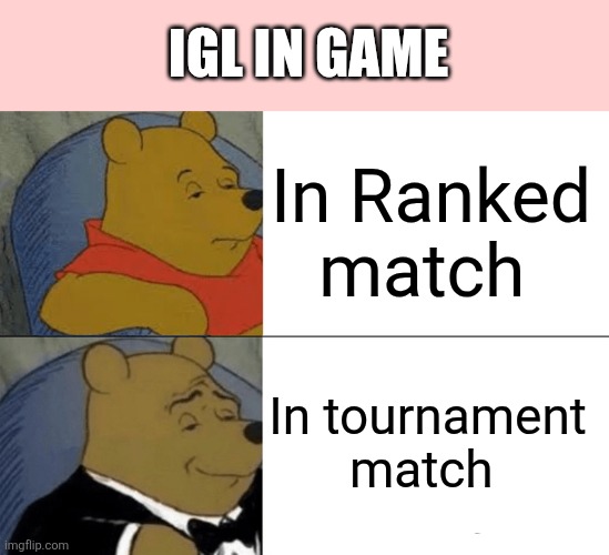 Tuxedo Winnie The Pooh | IGL IN GAME; In Ranked match; In tournament match | image tagged in memes,tuxedo winnie the pooh | made w/ Imgflip meme maker