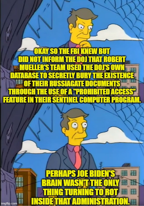 At some point dome of these corrupt bureaucrats need to start going to prison. | OKAY SO THE FBI KNEW BUT DID NOT INFORM THE DOJ THAT ROBERT MUELLER'S TEAM USED THE DOJ'S OWN DATABASE TO SECRETLY BURY THE EXISTENCE OF THEIR RUSSIAGATE DOCUMENTS THROUGH THE USE OF A "PROHIBITED ACCESS” FEATURE IN THEIR SENTINEL COMPUTER PROGRAM. PERHAPS JOE BIDEN'S BRAIN WASN'T THE ONLY THING TURNING TO ROT INSIDE THAT ADMINISTRATION. | image tagged in skinner out of touch | made w/ Imgflip meme maker